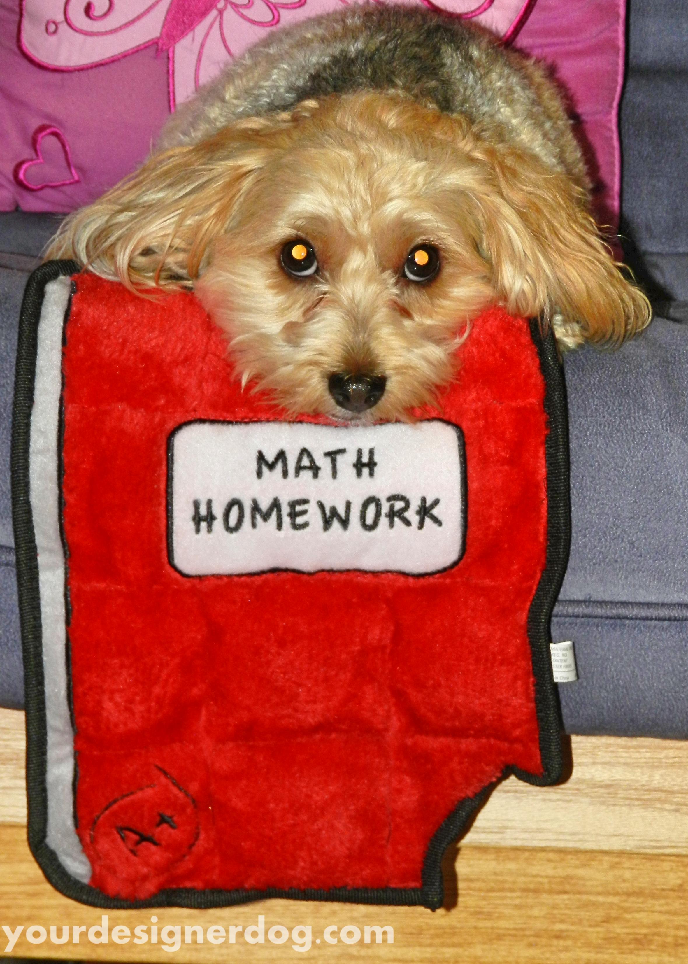 The Dog Ate My Homework! – YourDesignerDog